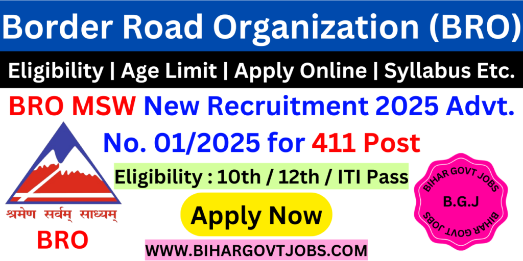 BRO MSW New Recruitment 2025